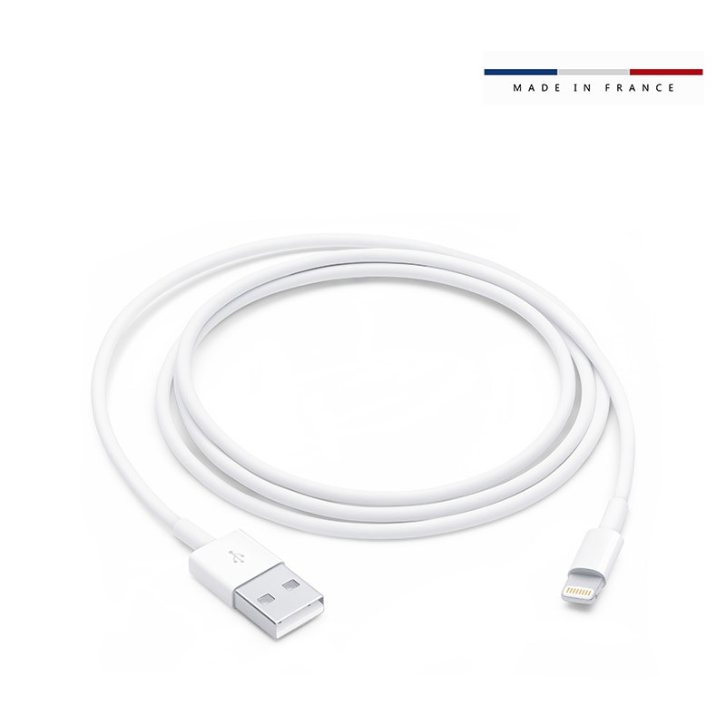Câble Lightning vers USB pour Apple