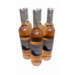 Carton de 6 bouteilles de Rosé